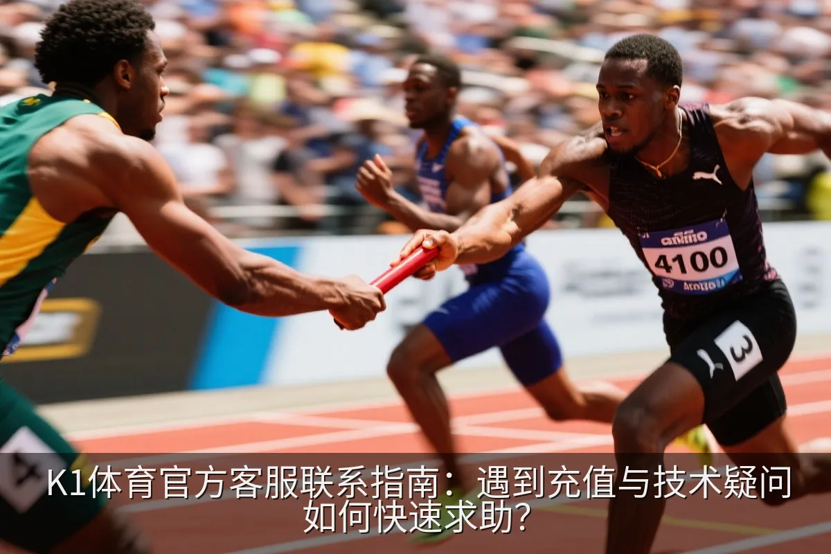 数字帮助中心故障排查与安全验证界面